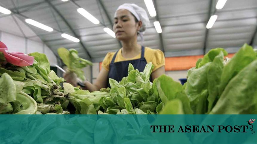 Organic Farming In Southeast Asia | The ASEAN Post